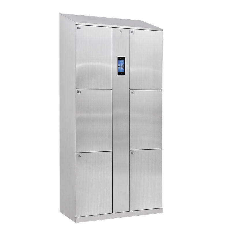 Stainless steel 6-grid wardrobe with facial recognition system - TFK0501S3