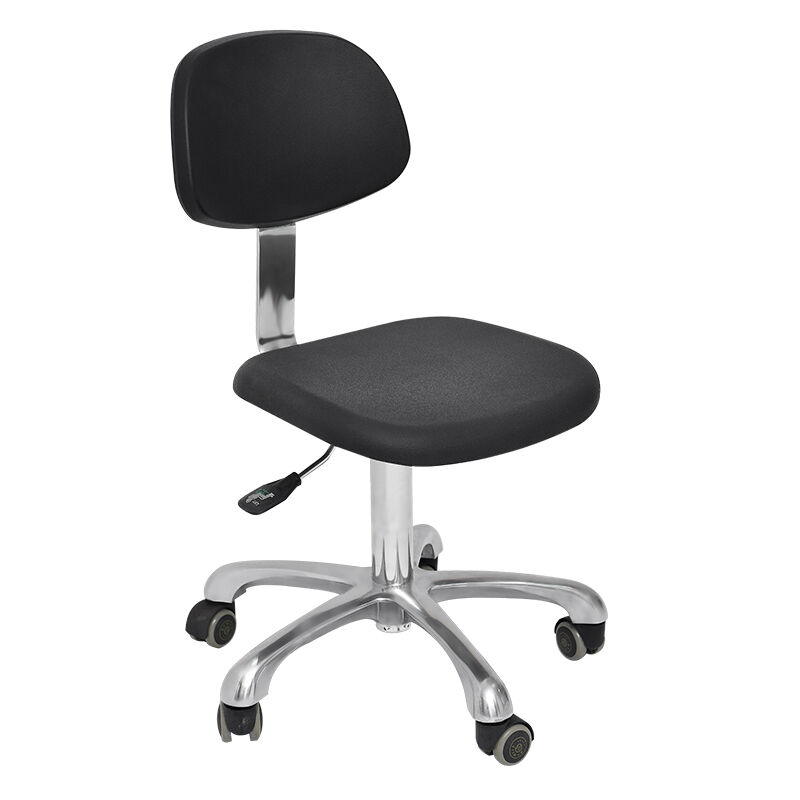 Stainless steel leather cushion stool with backrest - TFK1106