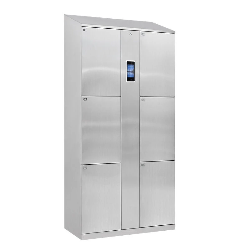 Stainless steel 6-grid wardrobe with facial recognition system - TFK0501S3