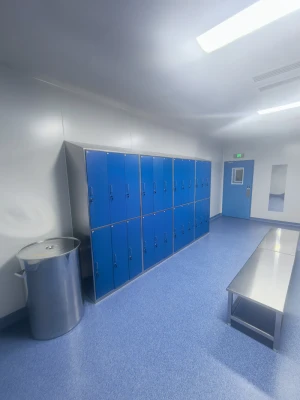 OEM and ODM Customization for Tailored Cleanroom Storage Solutions