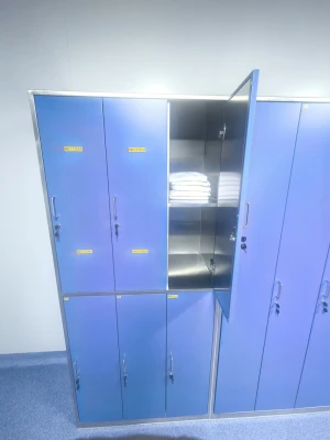 Tempered Glass Door Designs with Anti-Theft Locking Mechanisms